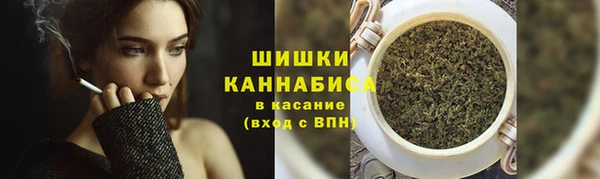 PSILOCYBIN Алексин