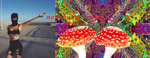 PSILOCYBIN Алексин