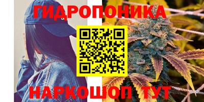 spice Нарткала