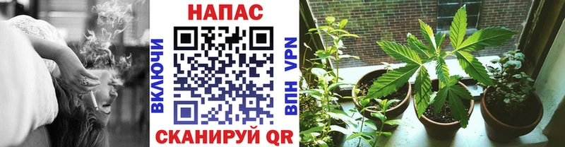 Марихуана Amnesia  Тверь 